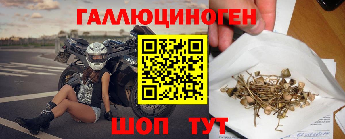 Галлюциногенные грибы Magic Shrooms Владивосток